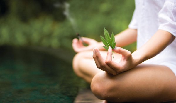 cannabis wellness blog meditation